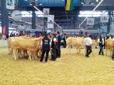 Aquitanima 2015 : entre tradition et innovation