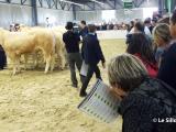 Les 3 coups d'Aquitanima 2015 sont donnés