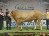 Aquitanima 2015 : les palmarès