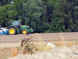 Des semis de maïs en recul