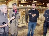 Veaux sous la mère, une filière qui peine à trouver de nouveaux producteurs