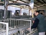 85% des ateliers de gavage sont aux normes