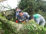 Chantiers forestiers: soyez en règle