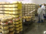 Les Fermiers basco-béarnais de nouveau en ordre de marche