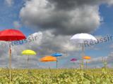 La nouvelle assurance climat sera opérationnelle en 2016