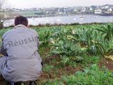 Fruits et légumes: l’hiver doux suscite l’inquiétude