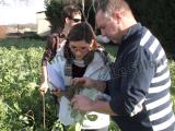 Dans les Pyrénées-Atlantiques, l’agroécologie se met en réseau