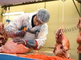 L’agriculture a toujours besoin de recruter