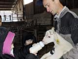 Farre conjugue innovation et agriculture raisonnée