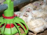 Sud Ouest Aliment lance une marque spécial bio