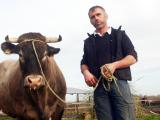 Cerise la Landaise, dans l’arène du Salon international de l'agriculture 