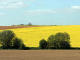 Déclaration PAC: le casse-tête des surfaces non agricoles
