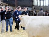 Aquitanima, véritable tour de Babel de la génétique bovine