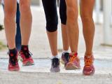 Ce week-end, Euralis accueille 1.800 athlètes pour le semi-marathon des coops
