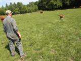 Trésoreries et moral des agriculteurs sont au plus bas
