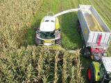 Ensilage du maïs: bien dimensionner le bec de l'ensileuse
