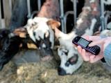 L’internet des objets révolutionne la ferme numérique