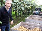 Le renouveau du kiwi jaune du sud Adour