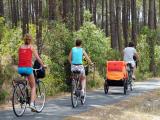 Le tourisme rural landais toujours vert