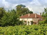 Les Côtes de Gascogne veulent réinvestir le marché hexagonal
