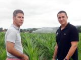 Euralis développe des solutions pour une irrigation efficace et précise