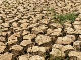 COP 23 : l’agriculture au cœur de la lutte contre le changement climatique