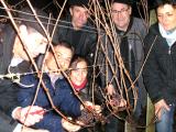 Pour la Saint-Sylvestre, les vignerons de Viella fidèles au poste