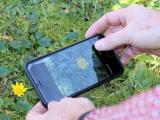 Gestion des prairies : Des applications en herbe…