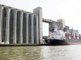 Des capacités exportatrices en grains toujours plus importantes pour la Russie
