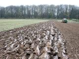 Quand la pluie tarde, les semis traînent