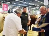 Bovins et ovins stars d’Aquitanima