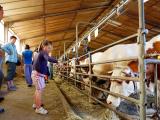 Familles, gourmets et scolaires sont invités aux rencontres Made in viande