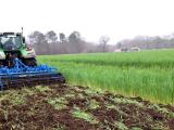 Les règles de la destruction des couverts végétaux