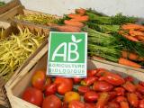 En 10 ans, les surfaces bio ont progressé de 70% en Europe
