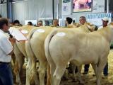 Le salon de l’agriculture de Nouvelle-Aquitaine, trait d’union avec le grand public