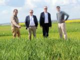 Poitiers accueille la quatorzième édition des Culturales les 5 et 6 juin prochains