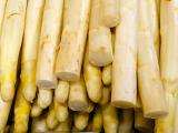 L’asperge et la fraise en situation de crise conjoncturelle