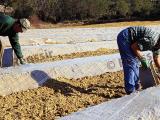 Une armée de l’ombre prête à donner main-forte aux agriculteurs