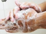 Consignes sanitaires pour les employeurs de main-d’œuvre en 3 fiches pratiques