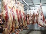 Dans les filières de la viande, «tout le monde cherche des frigos»