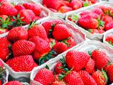 Fruits et légumes : course contre la montre pour éviter une pénurie de saisonniers