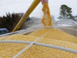 Les agriculteurs américains sous perfusion