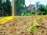 Plaimont inaugure sa parcelle représentative de la diversité des cépages du piémont pyrénéen