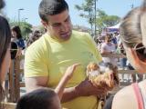 Les poulets landais débarquent à la plage