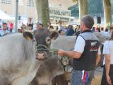 La Bazadaise accoste à Vieux-Boucau ce week-end pour le concours national