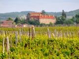Du vendredi 18 au dimanche 20 septembre, le territoire de Saint-Mont est en fête