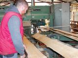 Fibois souhaite éclaircir les enjeux autour de la forêt en Nouvelle-Aquitaine