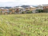 Les organisations professionnelles agricoles réclament une loi foncière