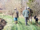 La chasse aux grands nuisibles autorisée pendant le confinement