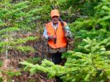 Chasse : l’arrêté préfectoral des Landes retoqué par la justice